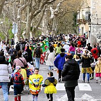 Samedi 28 Mars 2026 - Le carnaval des insectes