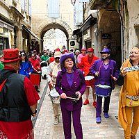 Samedi 28 Mars 2026 - Le carnaval des insectes