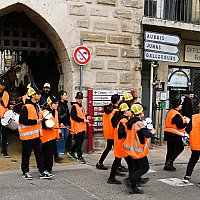 Samedi 28 Mars 2026 - Le carnaval des insectes