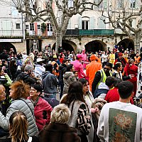 Samedi 28 Mars 2026 - Le carnaval des insectes