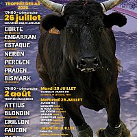 Manifestations taurines du club taurin "Lou Carmen"