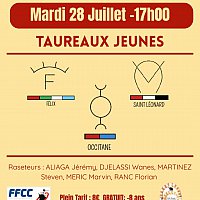 28 Juillet - Course de taureaux jeunes