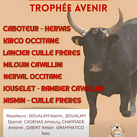 Mercredi 29 juillet - Course Avenir