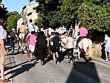 Concours d'abrivado